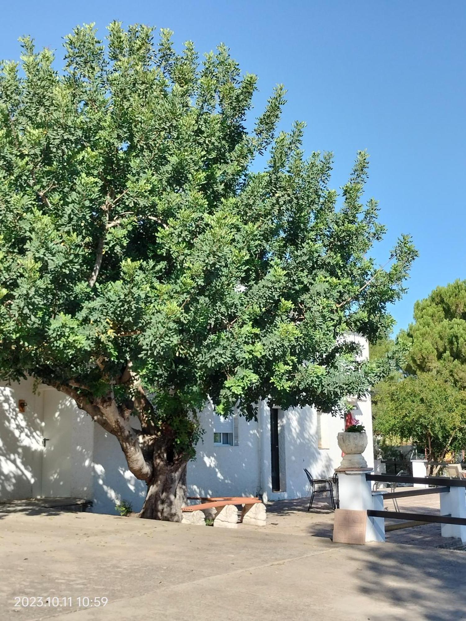 Bed and Breakfast Casa Mas Montanas Godelleta Экстерьер фото